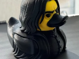 Duck Severus Snape