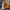 Ghost Pumpkin – Halloween Spookpompoen 👻🎃