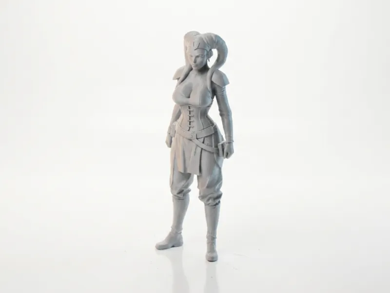 Aayla Secura Figurine Star Wars 3D Printable