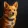 avatar of Riotmaker