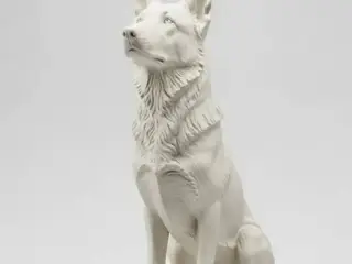 Pastor malinois sentado