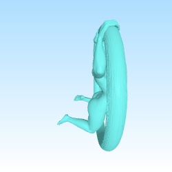 Anatomic study of a woman in a ring for creation-0