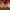 Clickers Halloween - gato calabaza fantasma