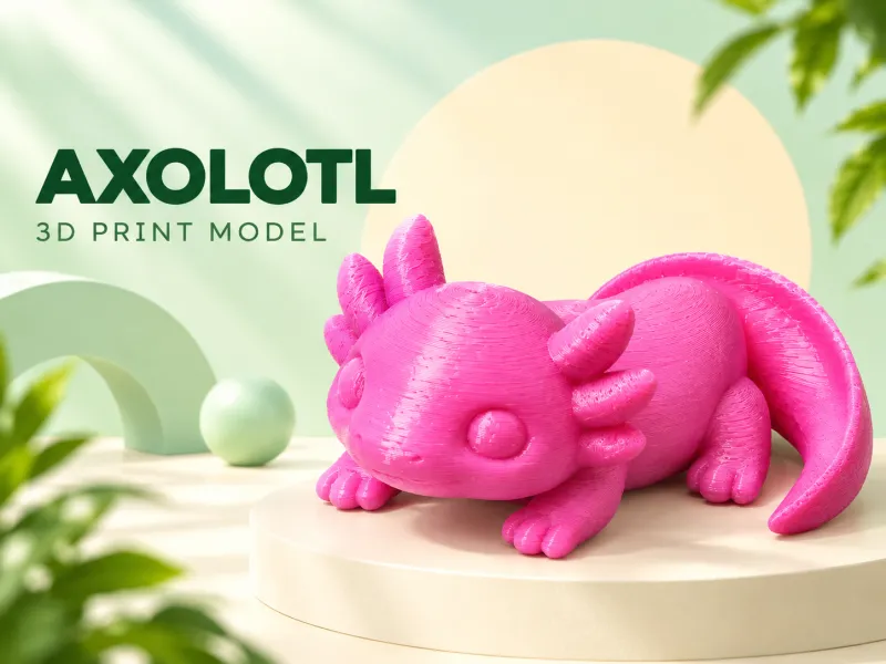 Axolotl