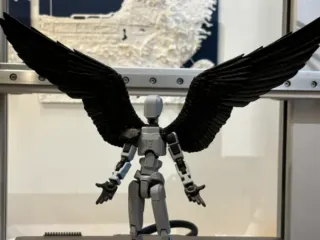 Dummy 13 wings