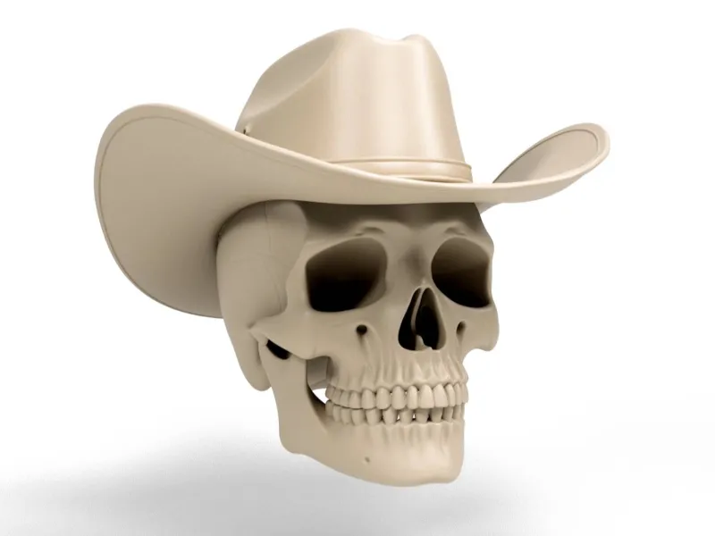 Teschio da cowboy