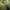 Bookmark Dont_F_Die