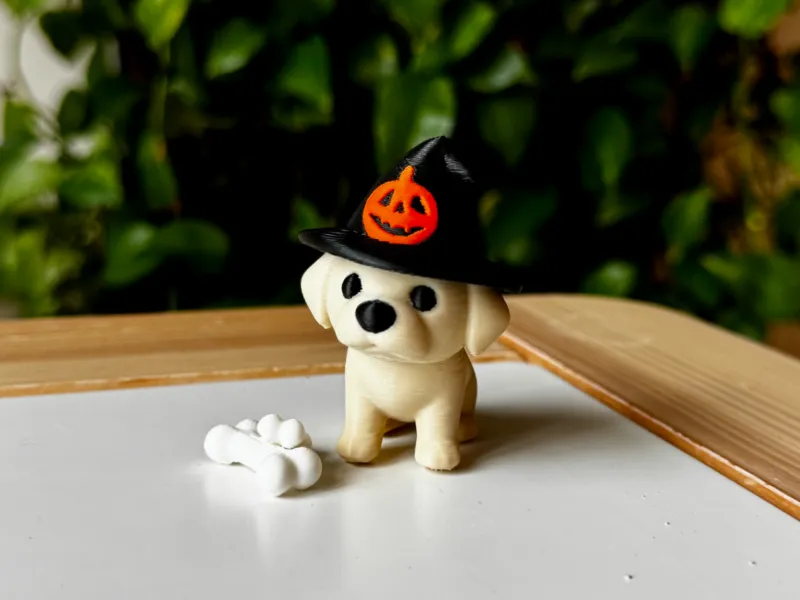 Labrador Halloween