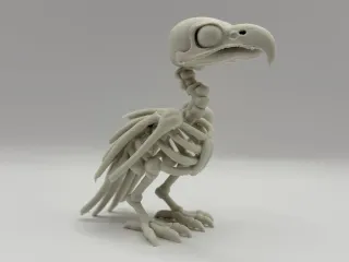 bird skeleton