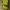 Dungeon Crawler Carl Livre 1 (1)