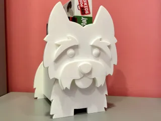 dog organization
