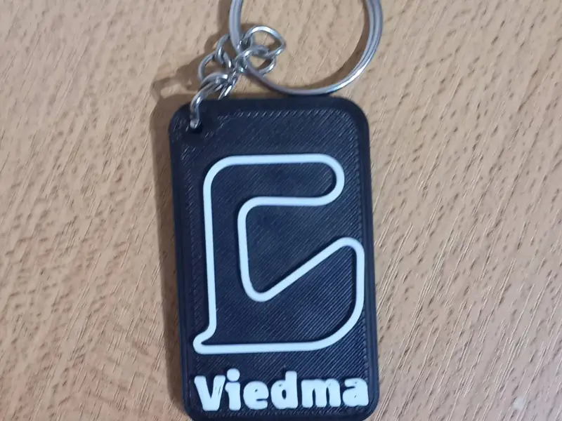 Viedma Circuit keychain