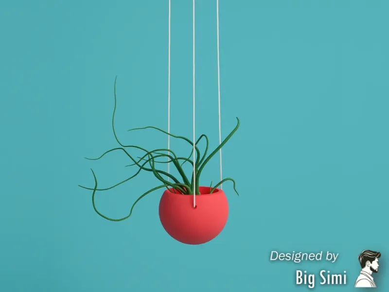 Minimal Hanging Planter