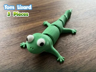Tom Lizard Flexi - Multicolor
