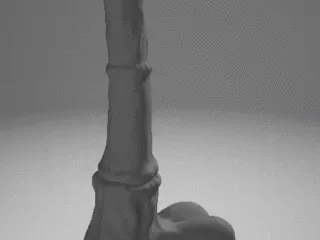 Dildo BDSM Version 10 Horse Version
