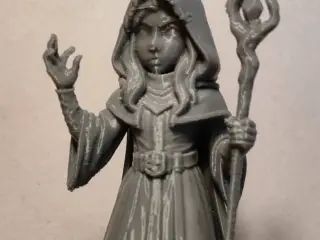Hooded Enchantress