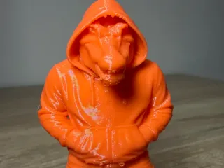 Swag croc in a hoodie