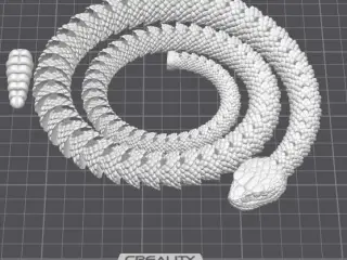 Snake and Rattlesnake