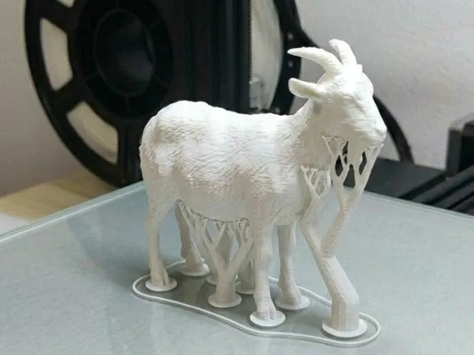 小山羊 畜牧 山羊