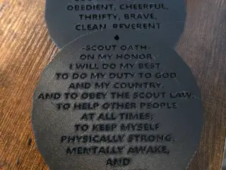 Boy Scout Tag