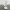 Calla Lily on Stand - Decorative Floral Model