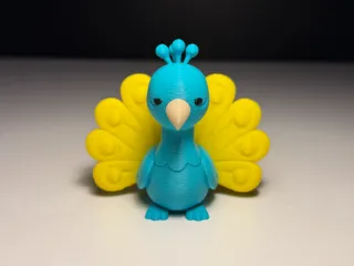 Cute Peacock