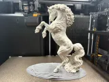 Realistic Horse-0