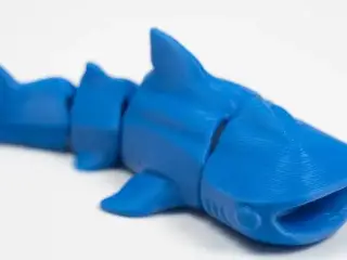 Shark