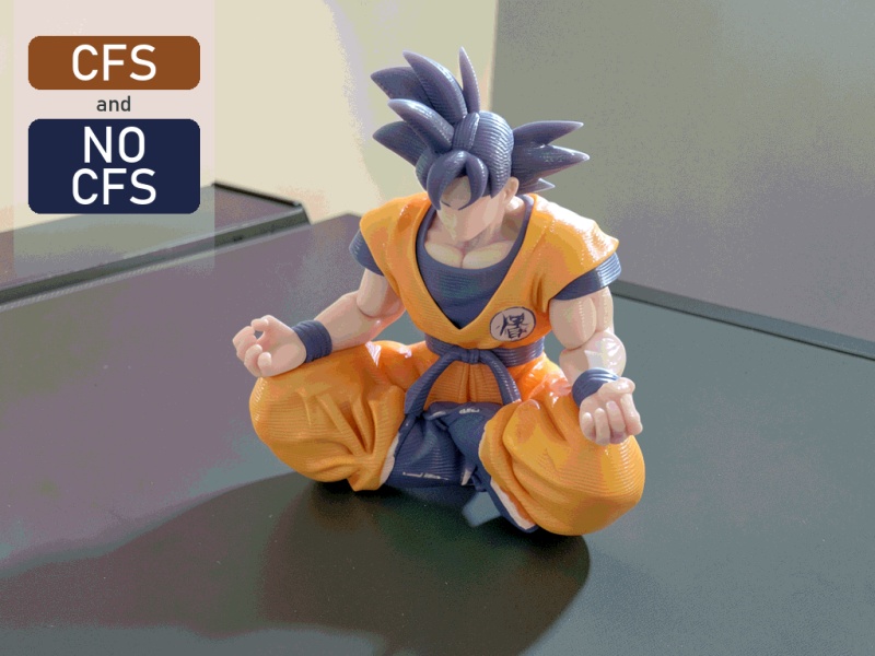 Goku | CFS et sans CFS