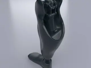 Prosthetic leg
