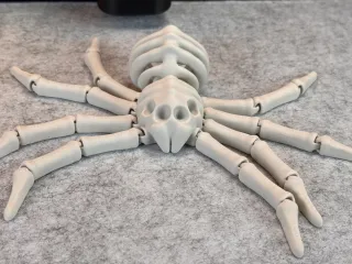 Flexi Skeleton Spider V2