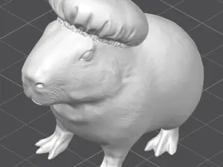 Capibara Enfermero