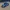NFS Most Wanted M3 GTR - Legend Racing Car: Functional