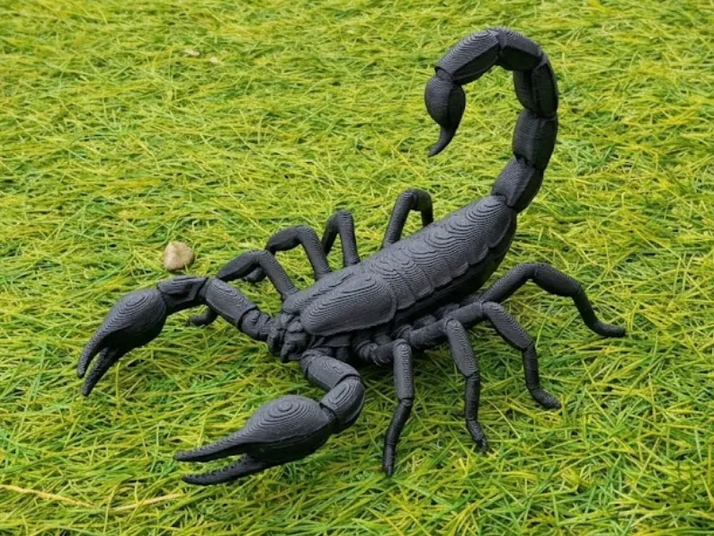 Deathstalker-Skorpion