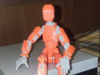 Dummy 13 Model