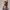 Zuri Fuchs Künstler-Pinselhalter Sammlerstück