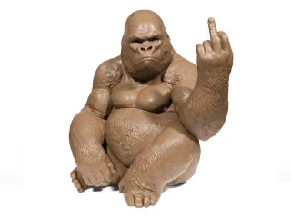 Funny Gorilla