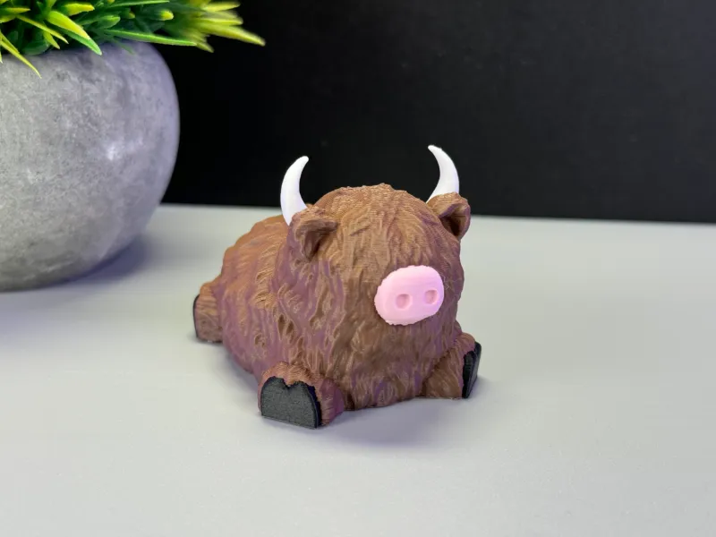 Tenera mucca delle Highlands