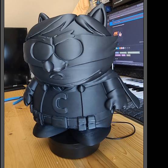 Home print settings: 3MF the coon 500%.3mf