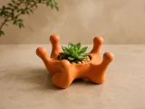 Organic Crown Succulent Planter-0