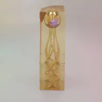 Transparent Trophy with Resin-4