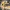 Back to the Future DeLorean Hueforge