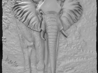 elefant