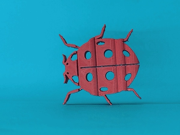 Text Flip - Ladybug