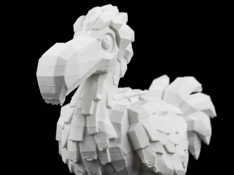 Oiseau Dodo