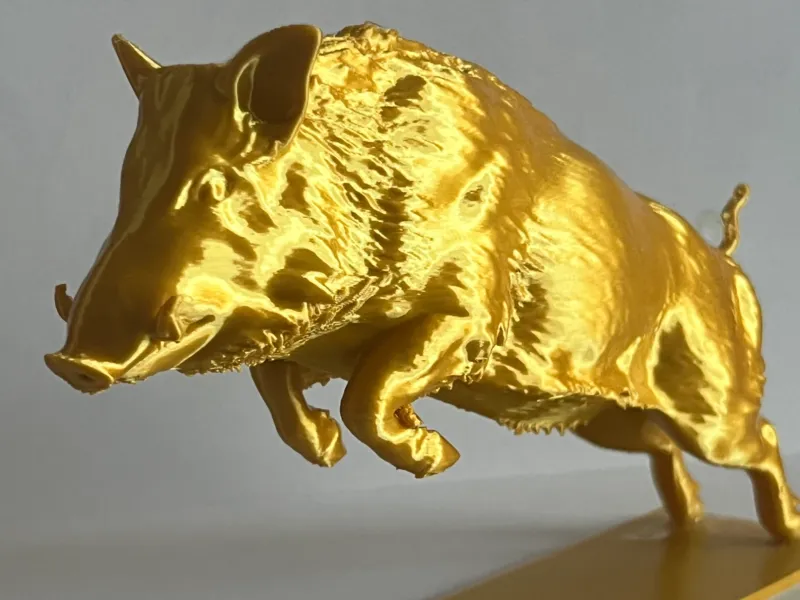 Wildboar Leaping