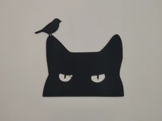 cat v2