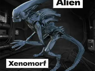 Alien, xenomorph from Prometheus, Covenant