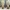 Harry Potter uil lithofaan lampvoet
