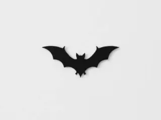 bat